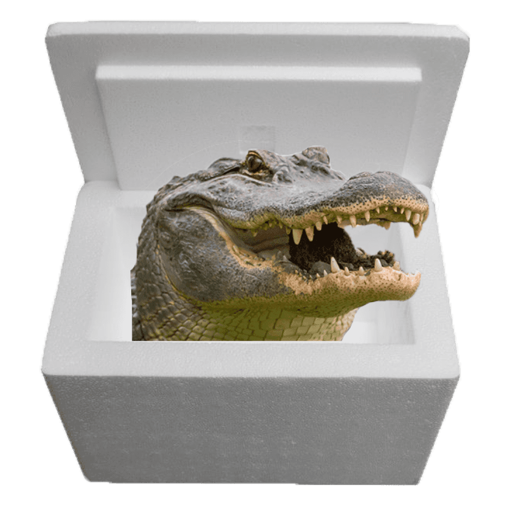 Louisiana Alligator Sampler Cooler