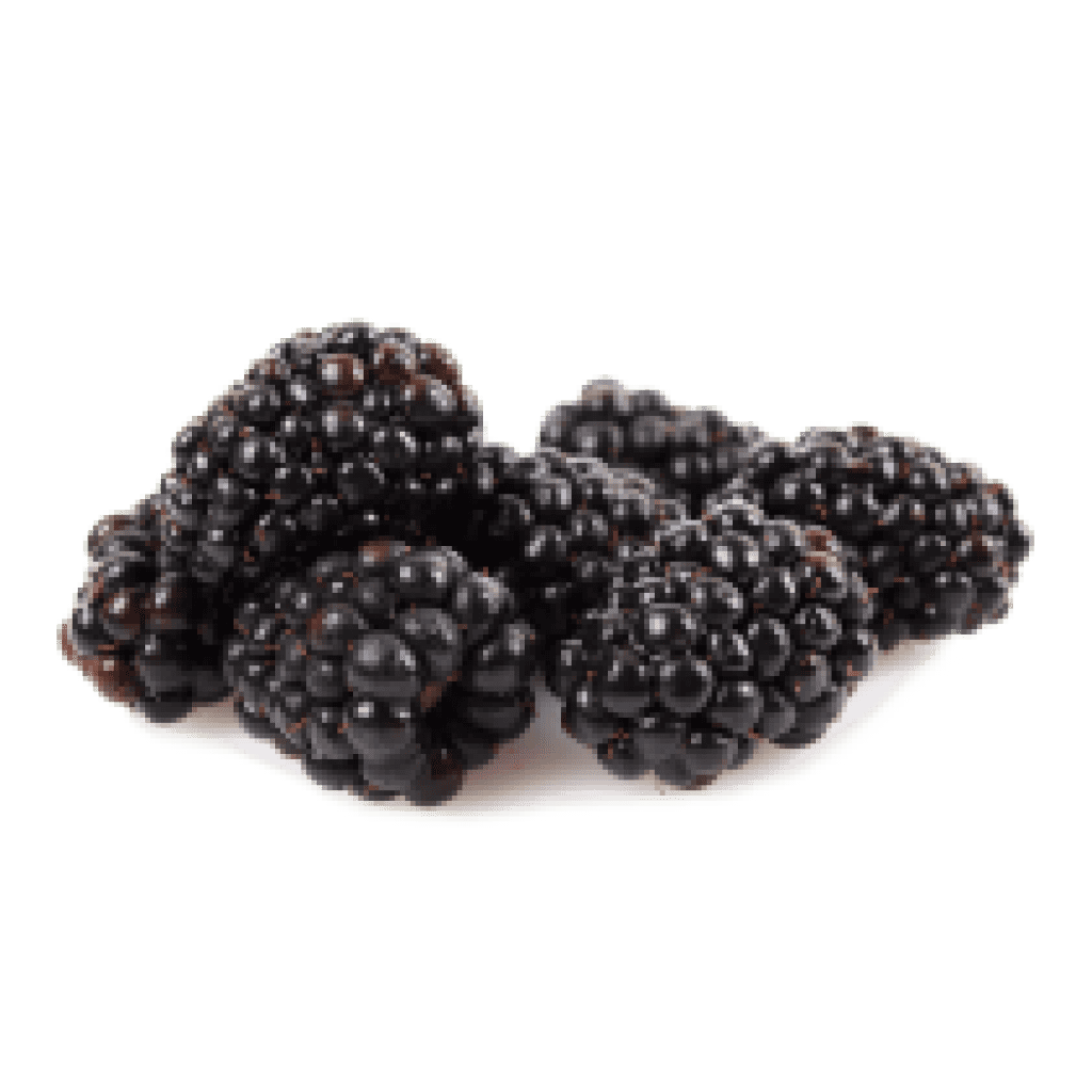 Ole Homestead - Blackberry Pepper Jelly