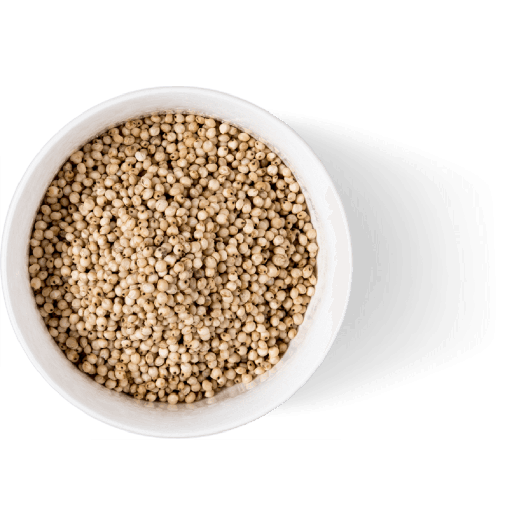 Ole Homestead Sorghum Molasses