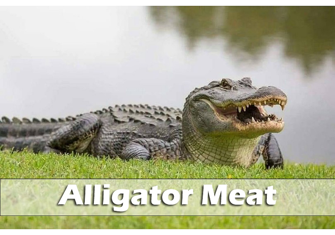 Alligator Meat: A Unique Culinary Adventure | All You Need to Know