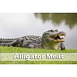 Alligator Meat: A Unique Culinary Adventure | All You Need to Know