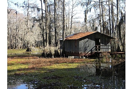 Cajun Foods