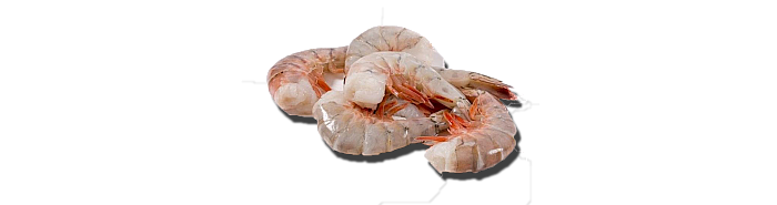 Shrimp - Gulf Shrimp Shrimp - Gulf Shrimp