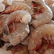 21/25 Gulf White Shrimp- Large (Headless) IQF 5 lbs
