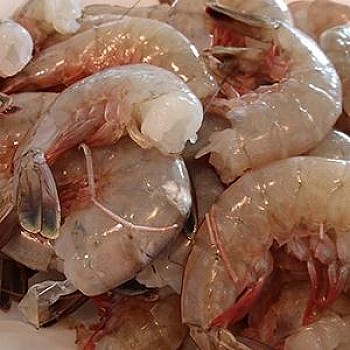 21/25 Gulf White Shrimp- Large (Headless) IQF