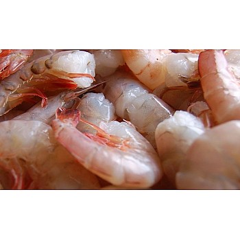 21/30 Gulf White Shrimp - Large (Headless) IQF