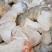31/40 Gulf White Shrimp (Peeled) IQF