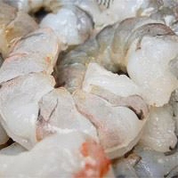 31/40 Gulf White Shrimp (Peeled) IQF