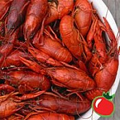 Fresh Boiled Crawfish - 15 lbs. (FIELD RUN) Seasoned