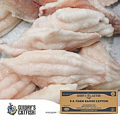 Guidry's IQF Catfish Fillet's (9-12 oz.) 15 lb