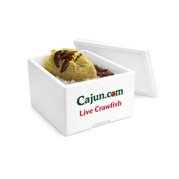 Live Crawfish Washed (Jumbo)