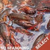 Live Crawfish For Sale