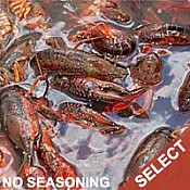 Live Crawfish Select 1 Sack