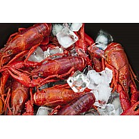 Louisiana Whole Boiled Crawfish 5 lbs with Seasoning