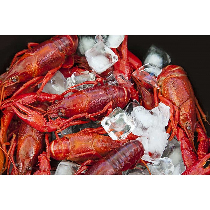 Now Available Our Southern Boyz Boil Seasoning.. #crawfish #boilingcra