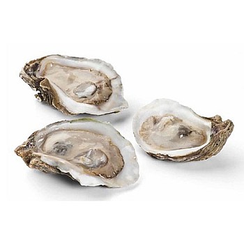 One Dozen Extra Fancy Half Shell Gulf Oysters