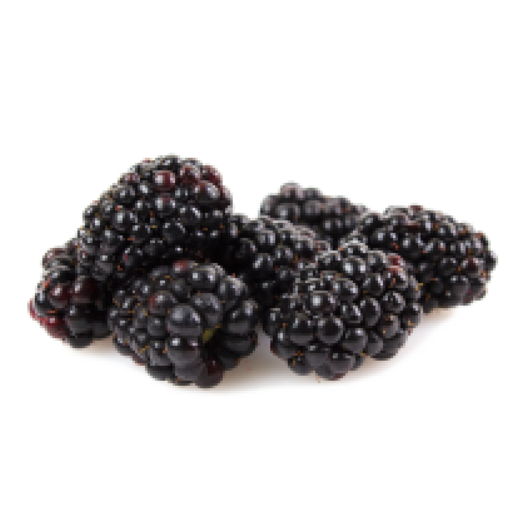 Ole Homestead - Blackberry Pepper Jelly