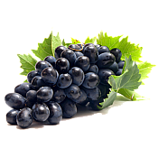 Ole Homestead - Muscadine Wine Jelly