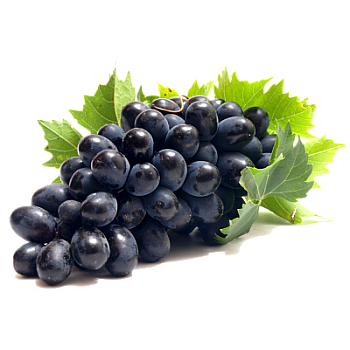 Ole Homestead - Muscadine Wine Jelly Ole Homestead - Muscadine Wine Jelly