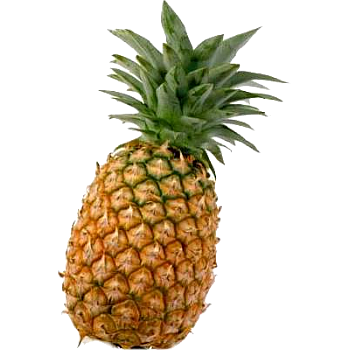 Ole Homestead - Pineapple Marmalade