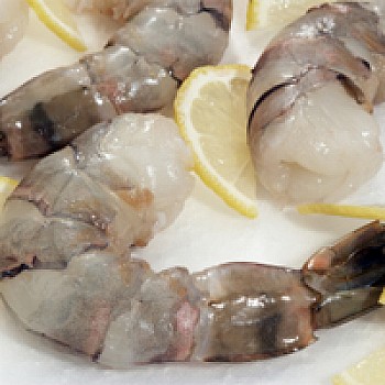U/20 Gulf White Shrimp - Jumbo (Headless) IQF