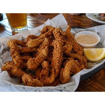 Gator World alligator fillet meat 1 lb Louisiana alligator tenderized fillets