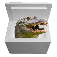 Louisiana Alligator Sampler Cooler