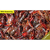 60 lbs Field Run Live Crawfish Delivery with Seasoning