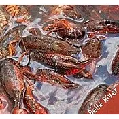 LIVE Crawfish Belle River w/ seasoning 30 lb Sack