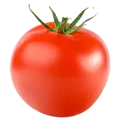 Ole Homestead - Tomato Pepper Jelly