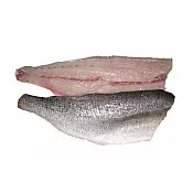 Speckled Trout Filets from the Gulf of Mexico